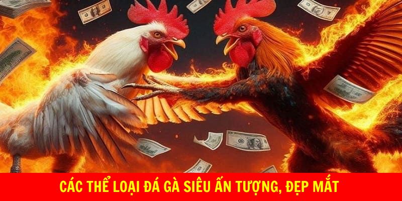 Các thể loại đá gà siêu ấn tượng, đẹp mắt 